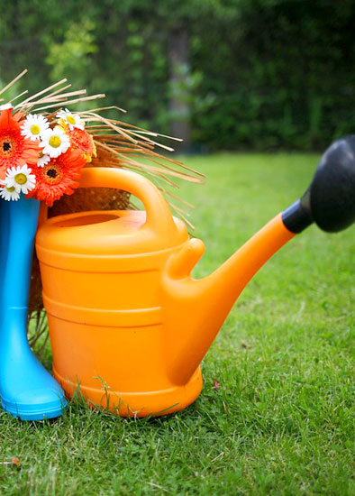 Home gardener gardening tools